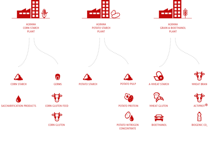 starch-products.png