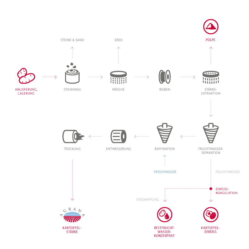 staerke-produktionsablauf-kartoffelstaerke.png