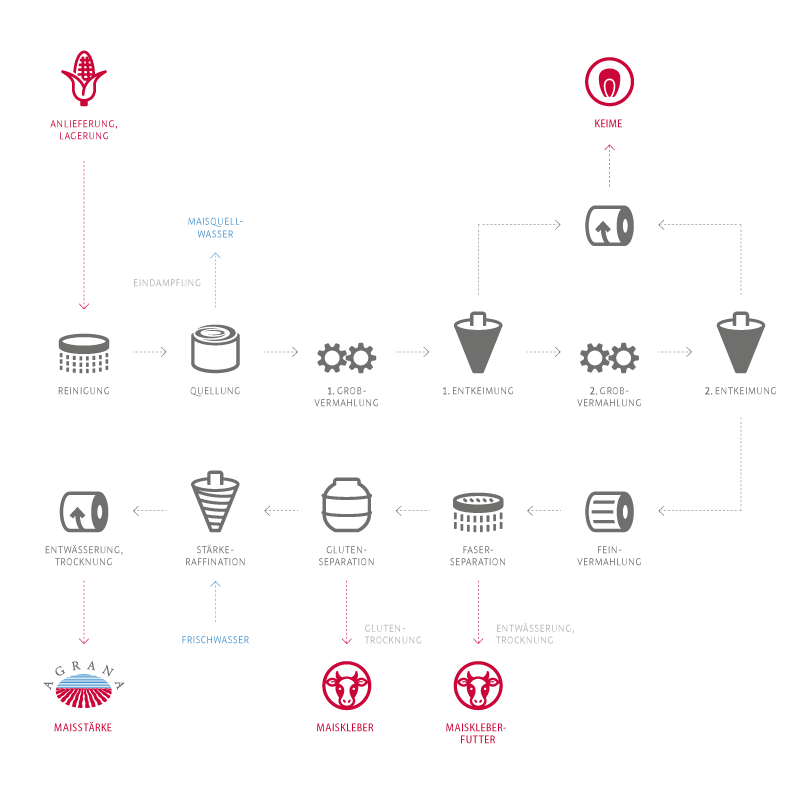 staerke-produktionsablauf-maisstaerke.png