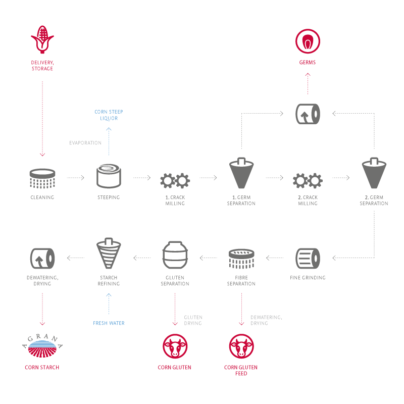 starch-productionflow-cornstarch.png