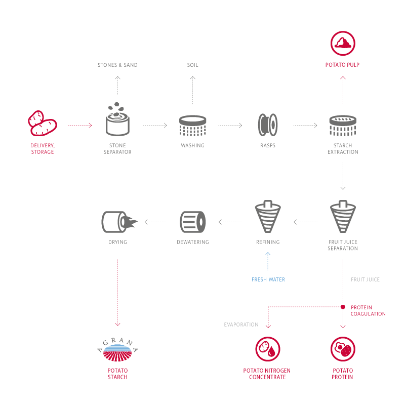 starch-productionflow-potatostarch.png