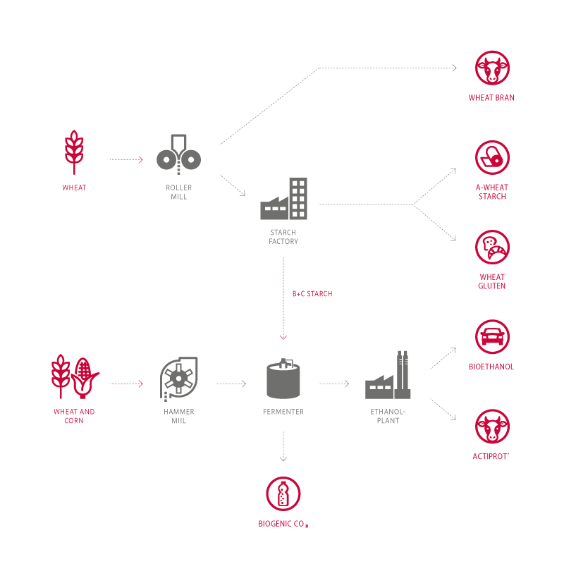 starch-productionflow-wheatstarch.png